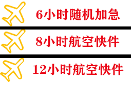 六盘水空运快递公司,专业空运当天件